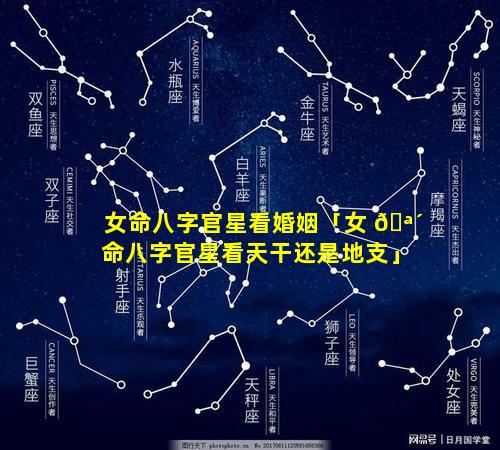 女命八字官星看婚姻「女 🪴 命八字官星看天干还是地支」